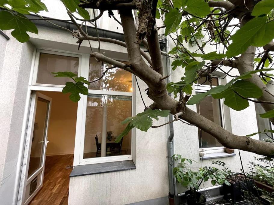 Cosy & Central Flat Near Duesseldorf Center Екстер'єр фото